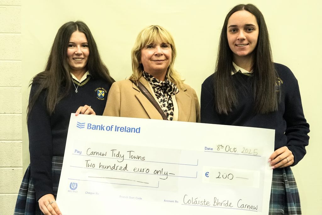 Coláiste Bhríde tweet media