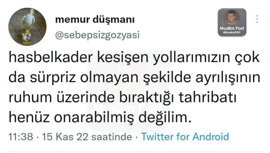 Muslim Post (@muslimp0st) on Twitter photo 