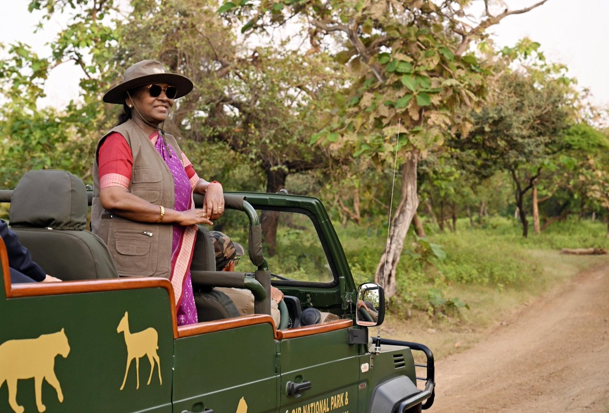 airnewsalerts's tweet image. President #DroupadiMurmu visited Gir National Park, the home of majestic Asiatic lion and, rich and diverse wildlife.

Later, she also interacted with the local tribal people. 

The President said that the nature-friendly lifestyle of tribal community is a source of inspiration…