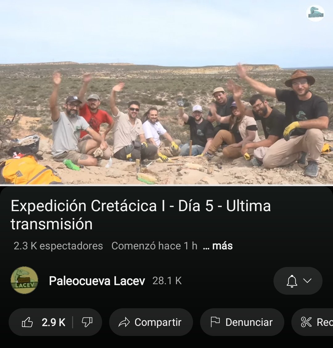 Nos despedimos, pero solo por hoy!! Seguimos por todas nuestras redes para mostrarles todo lo que hacemos día a día. GRACIAS por ser parte!!
Los dinosaurios siguen ahí, esperando el próximo stream.
Les queremos!! 🥰⛏️🔨🦖