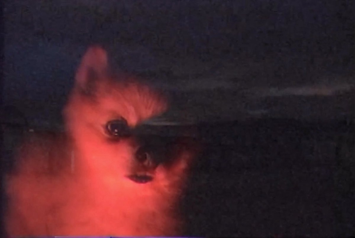 lecinemaclub's tweet image. This week: AMARU’S TONGUE: DAUGHTER  a film by JOSHUA CHUQUIMIA CRAMPTON &amp;amp; CHUQUIMAMANI-CONDORI. 2021. 45 min.

A trance-like exploration of death according to Indigenous Aymaran traditions filmed by radical sibling artists and musicians.

For one week on lecinemaclub.com.