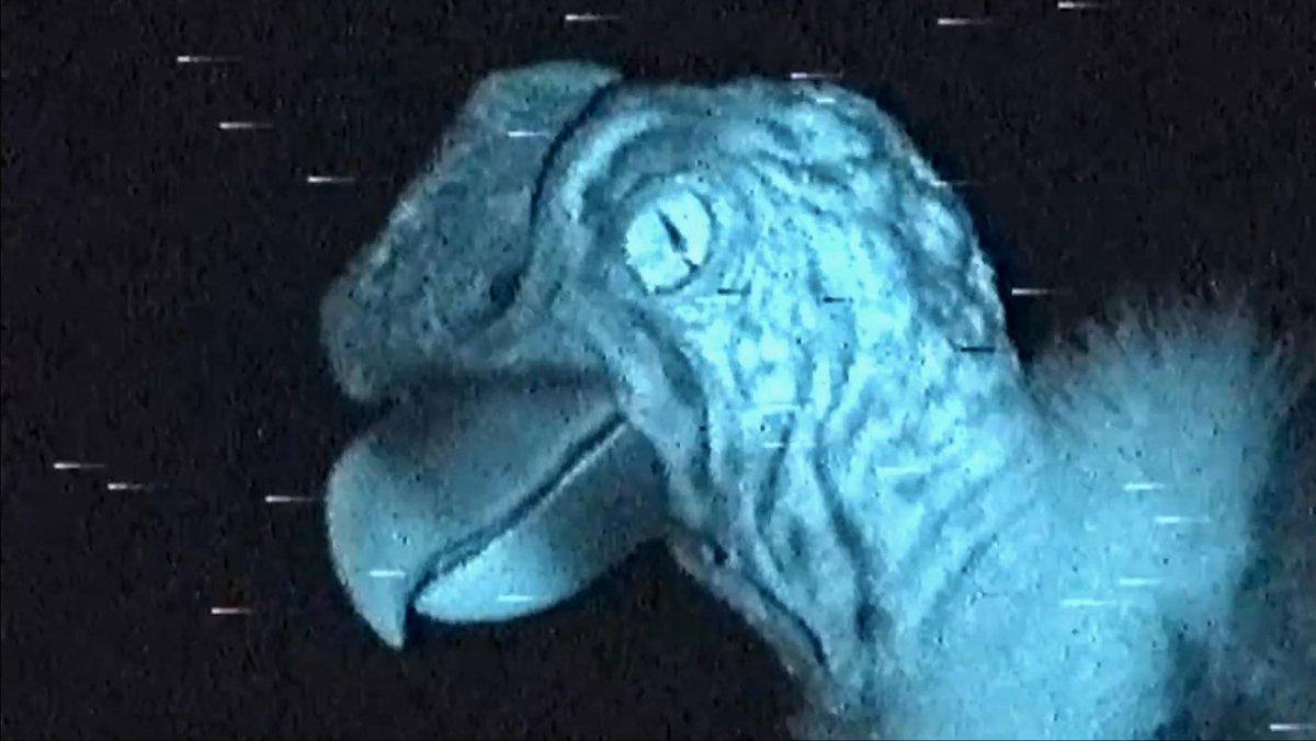 lecinemaclub's tweet image. This week: AMARU’S TONGUE: DAUGHTER  a film by JOSHUA CHUQUIMIA CRAMPTON &amp;amp; CHUQUIMAMANI-CONDORI. 2021. 45 min.

A trance-like exploration of death according to Indigenous Aymaran traditions filmed by radical sibling artists and musicians.

For one week on lecinemaclub.com.