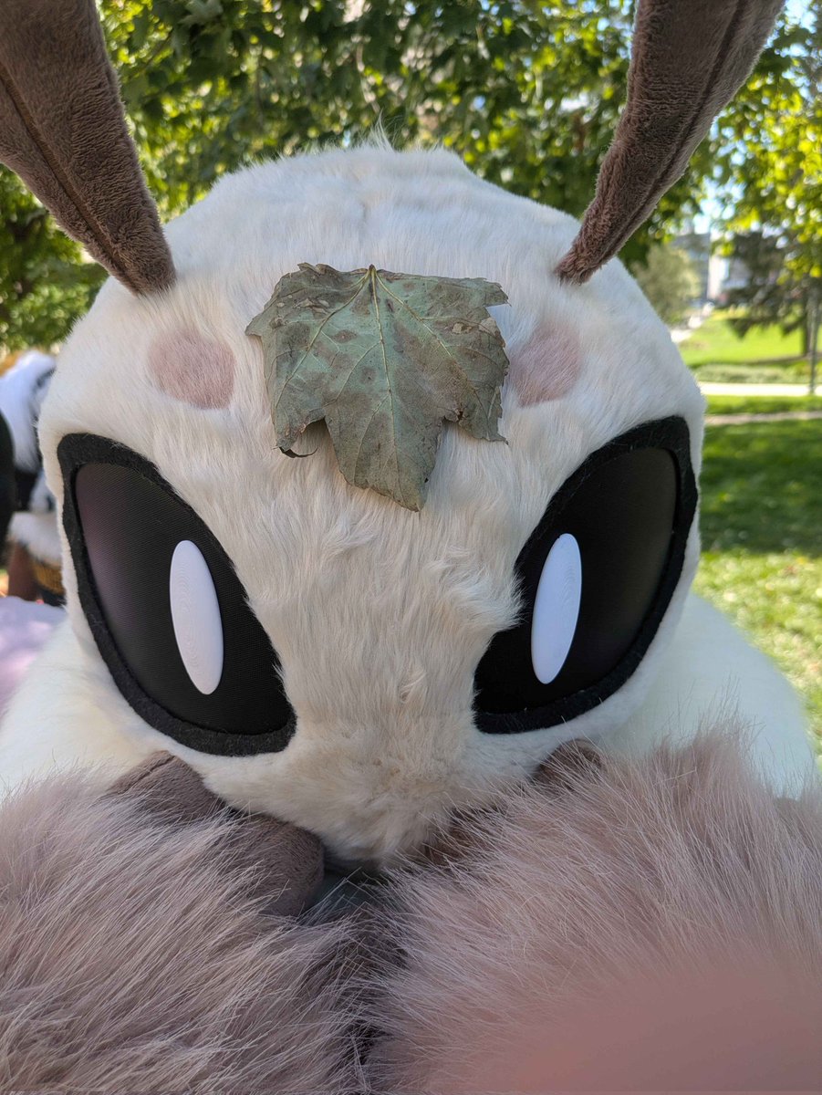 my beautiful leaf son whom I hate 

#fursuitfriday