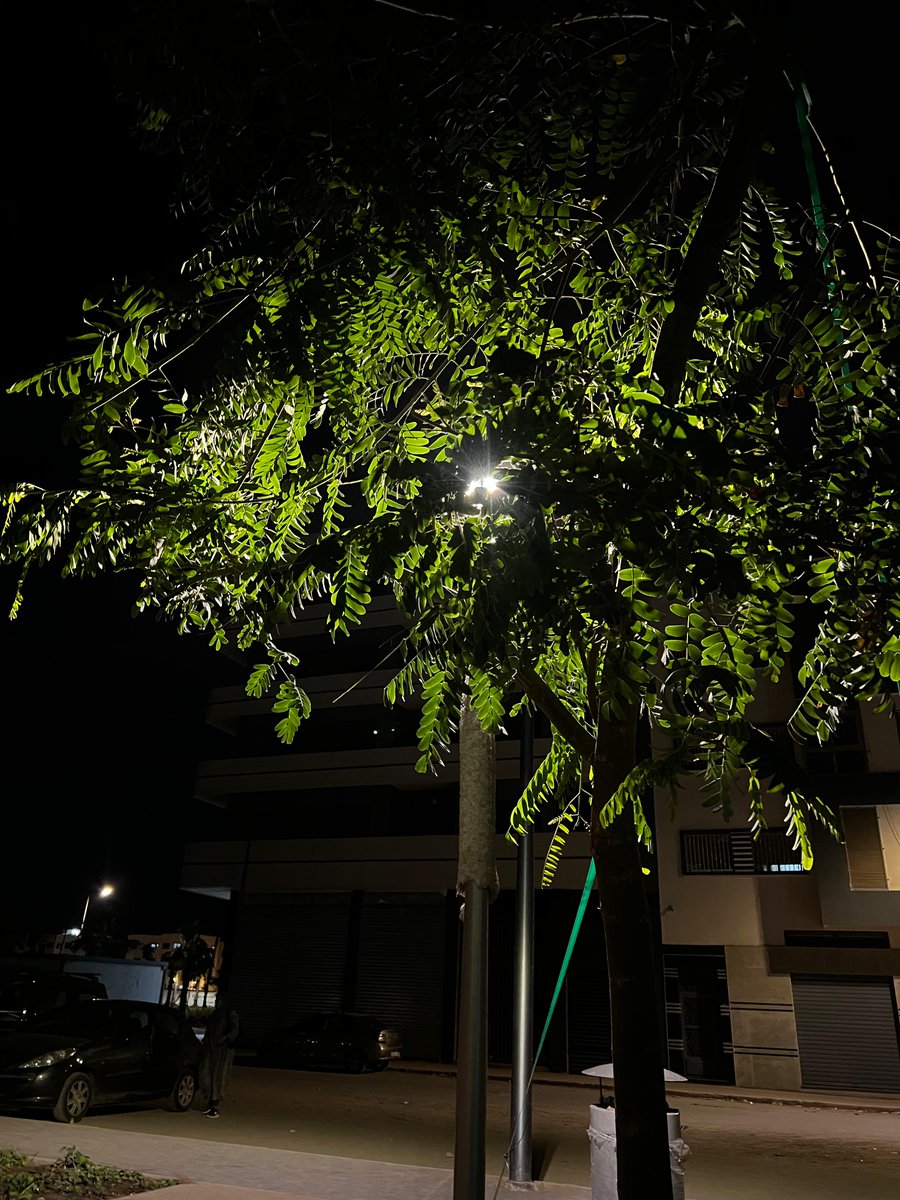 Drebt fs9ef ta ana wellit nsawer chejer