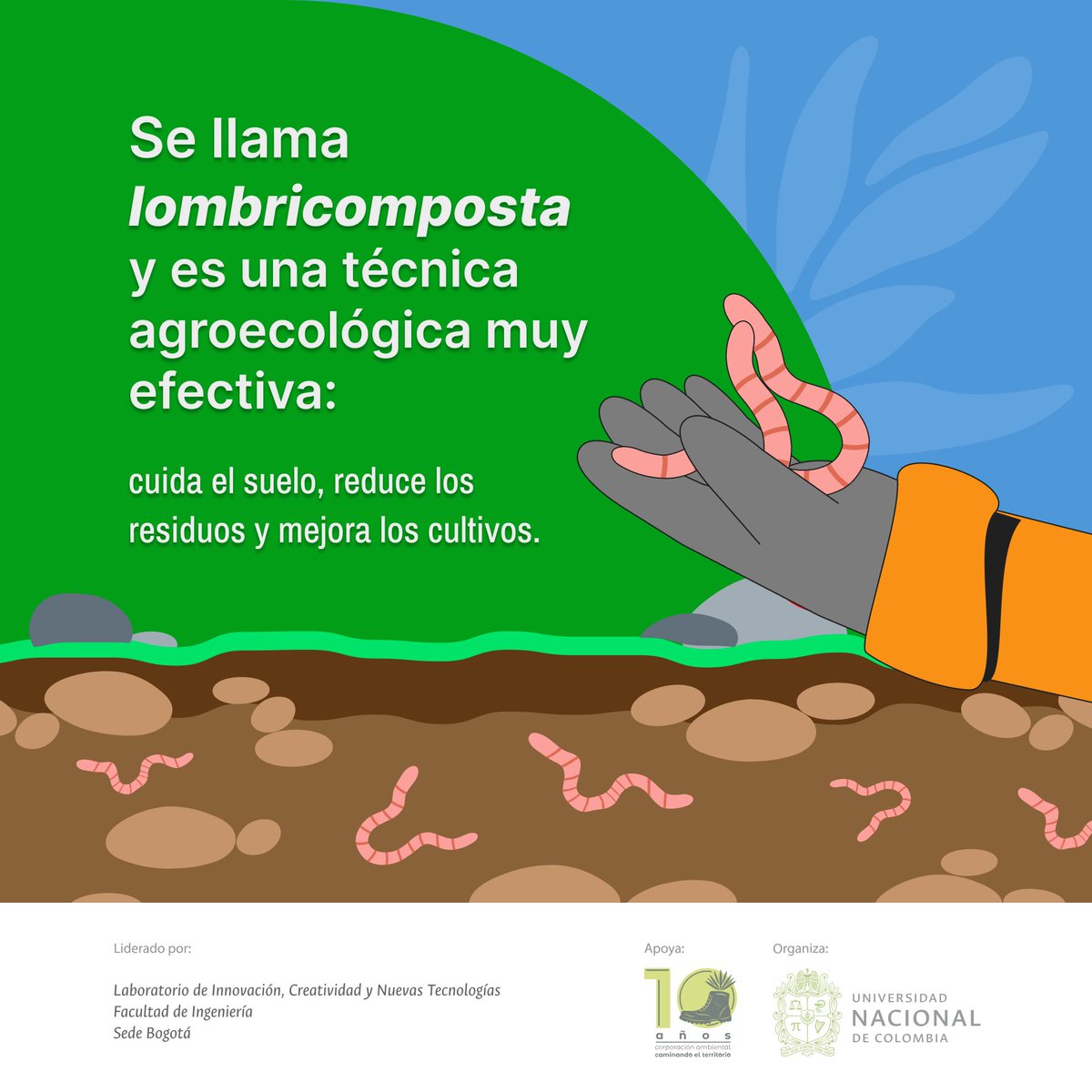 Lab101UNAL's tweet image. 🌱Las lombrices no marchan ni gritan, pero hacen revolución desde el suelo: convierten lo que desechamos en vida.
Así funciona también la agroecología: silenciosa, paciente y transformadora.
💻Aprende esto y más con la Escuela Digital para la Justicia Ambiental 
📌 Curso 100%…