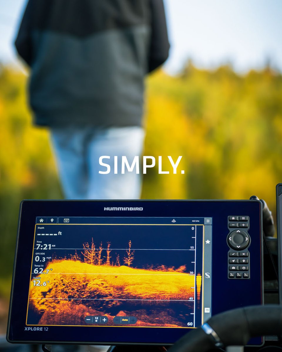 HumminbirdFish tweet media