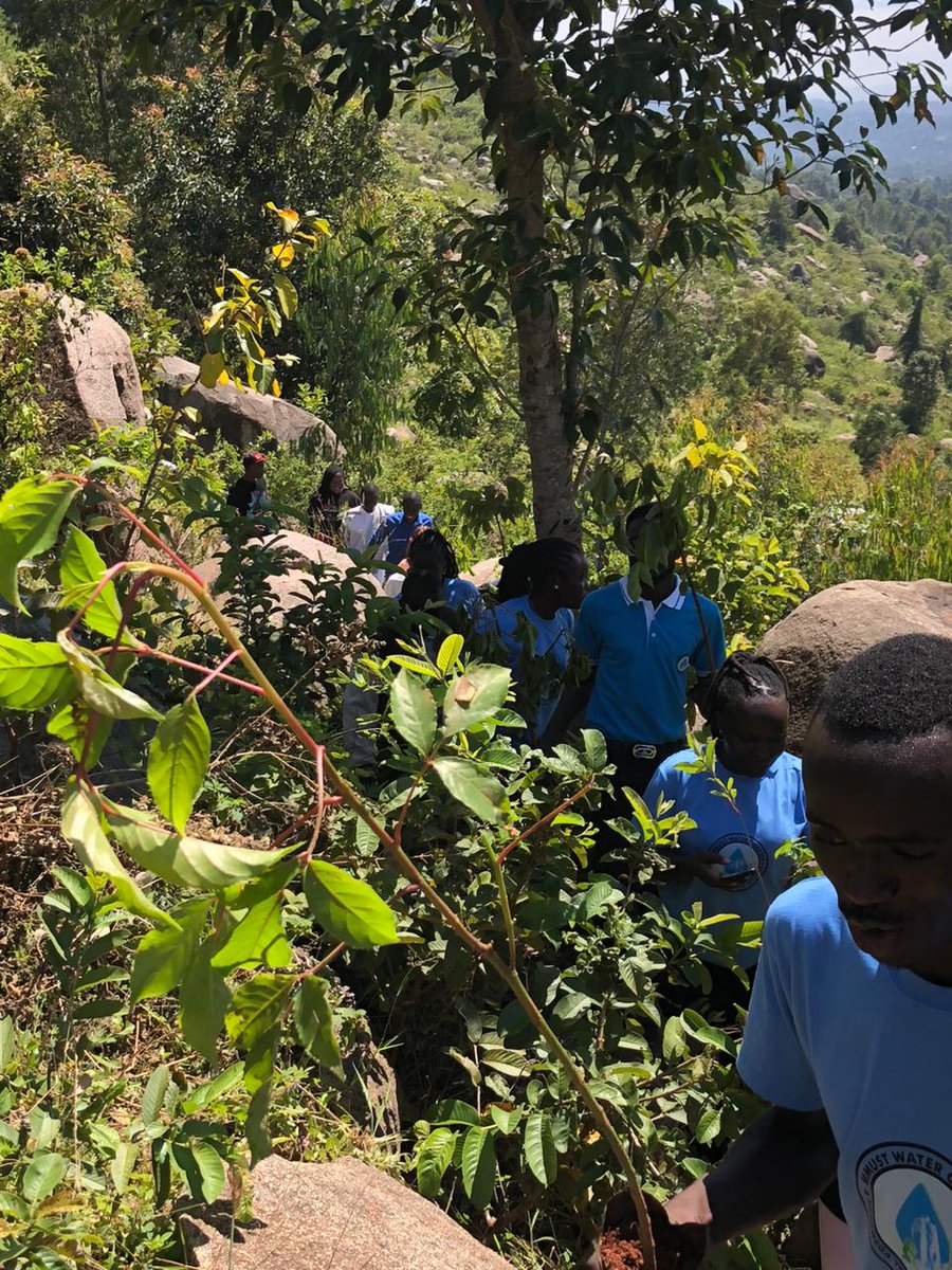 Greening Maragoli Hills! 
At Vihiga County, together with VC @Prof Solomon Shibairo, the MMUST Water Chapter joined hands to plant 10,000+ indigenous trees during Mazingira Day 2025. 
One mission, one planet let’s keep it green <a href="/037WaterBunge/">Kakamega Youth Water Parliament</a>
#MazingiraDay2025   #ClimateAction