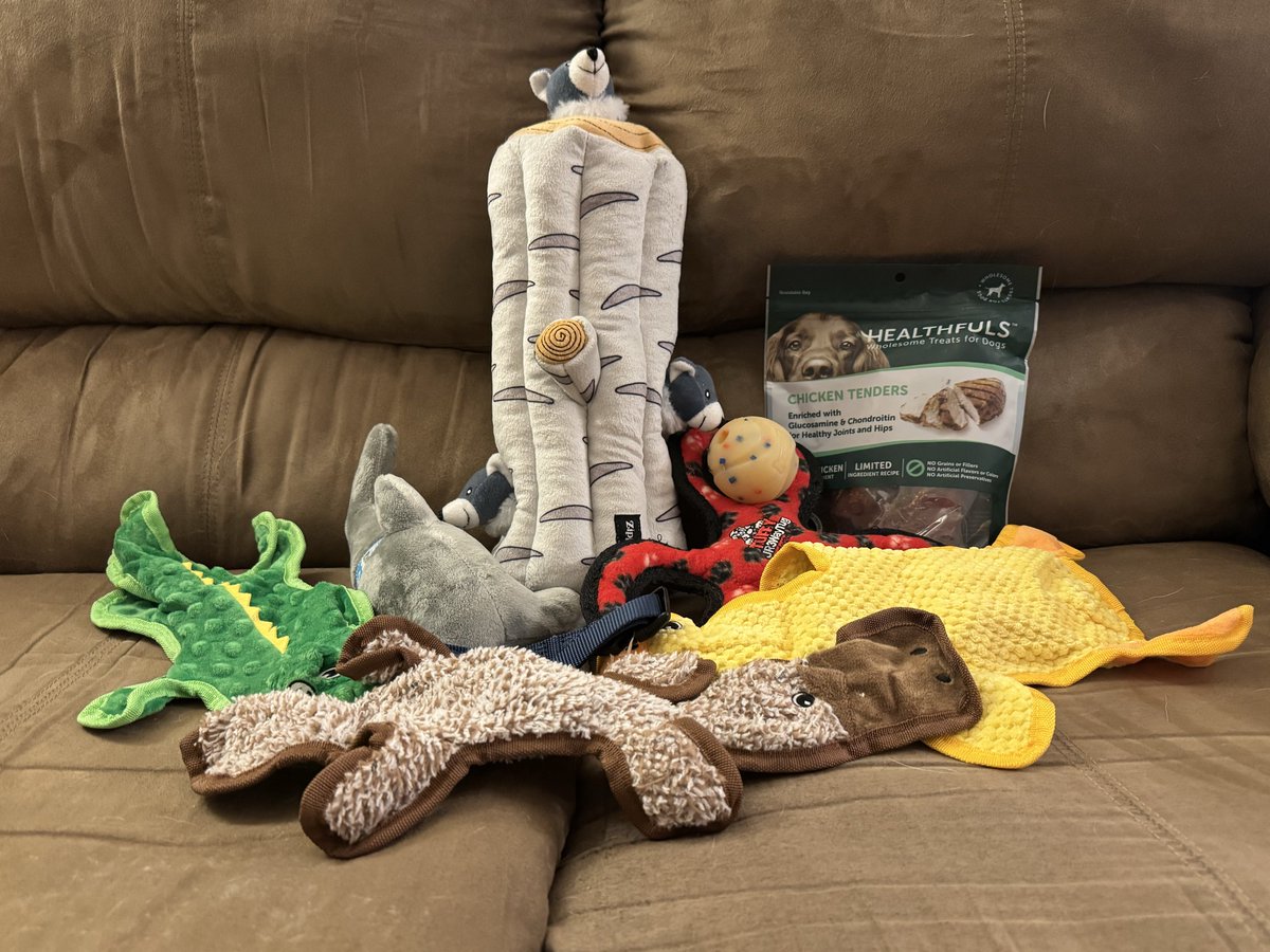 Willow_Jaxin's tweet image. Tuday’s myz birfday. I’z one yearz old. Let’z dah shenanigans begin.