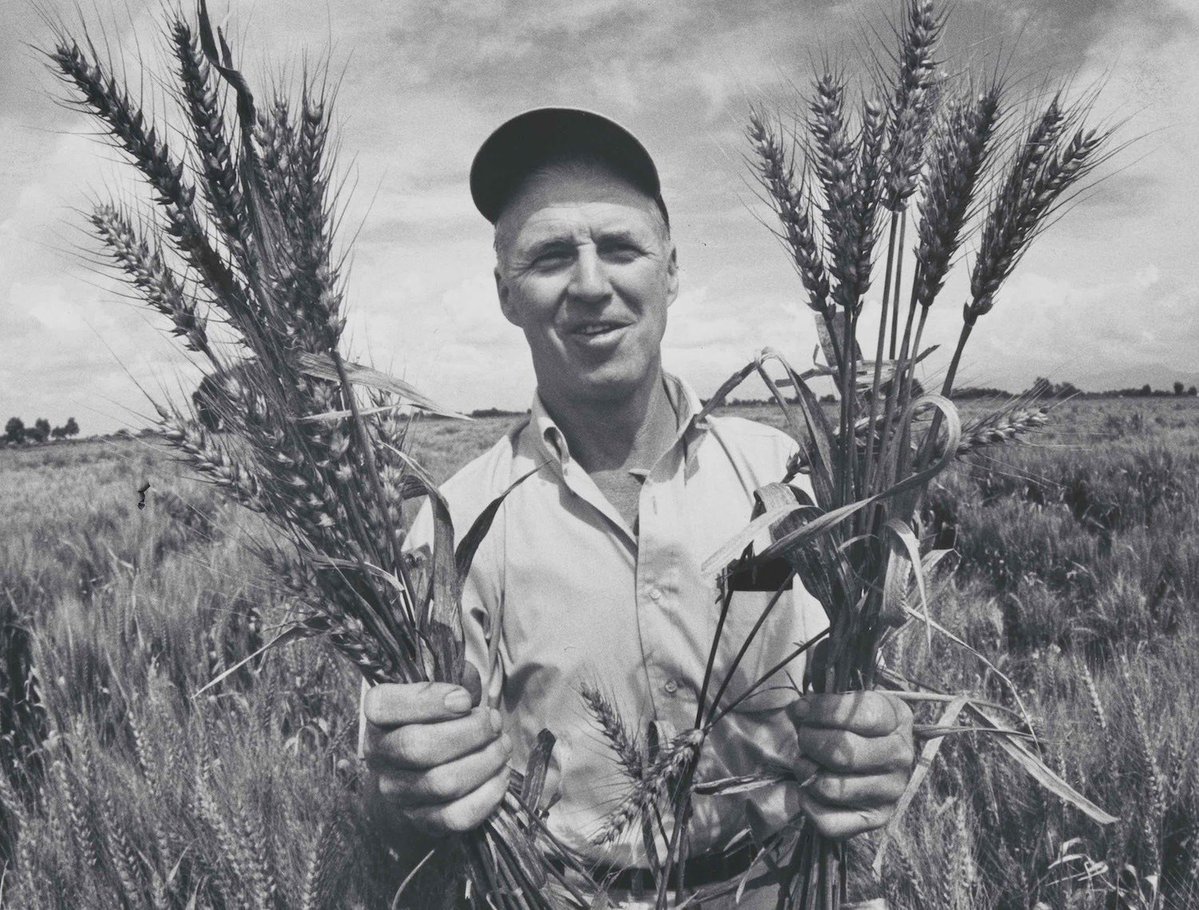 55 years ago Iowan Norman Borlaug was awarded the Nobel Peace Prize for his lifelong efforts to fight hunger and boost food production around the world