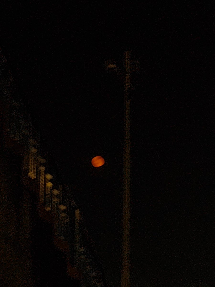 MechaSubh's tweet image. lo ladies log vrat khol lo