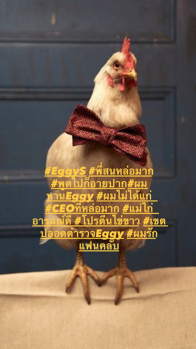 eggybymana's tweet photo. กระผมรู้สึกเป็นเกียรติอย่างยิ่ง ที่แฟนคลับเริ่มหันกลับมาใช้แฮชแทคกันอย่างแพร่หลาย #EggyThailand #EggyS #ขอยืมสคริปต์ #กินEggySกันหรือยัง #Eggyโปรตีนไข่ขาว https://t.co/G1b7YWUeLw