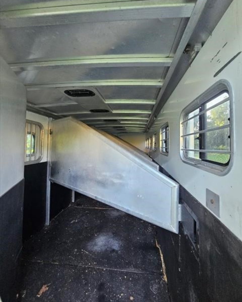 TodayUtility's tweet image. Hit the road with this featured horse trailer listing on #UtilityTrailersToday! 🫡

2003 EXISS
📍 Paradise, Pennsylvania
📲 (717) 820-1009

See More Details HERE! ➡️ ow.ly/M0ev50X7eO8

#TrailerForSale #HorseTrailer #FarmLife #UtilityTrailersToday