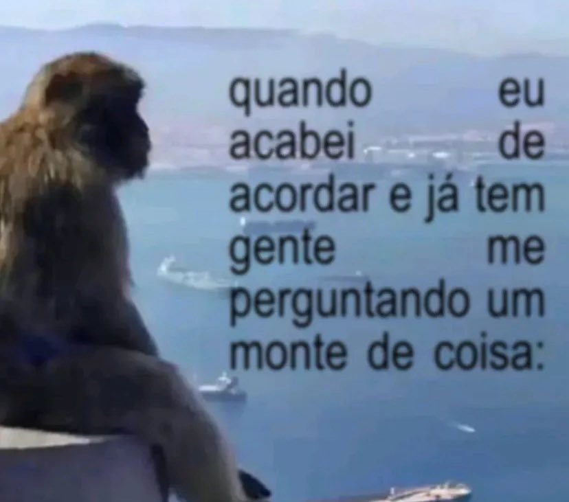 Trouxinha tweet media