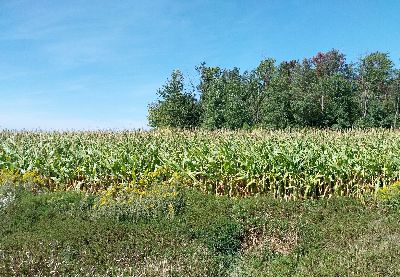St Mary The Boltons Newsletter: Harvest Festival, 12 October 2025 - mailchi.mp/e7556e651b79/h…