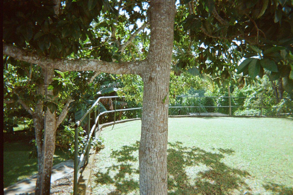 1Syde 🇯🇲 tweet media