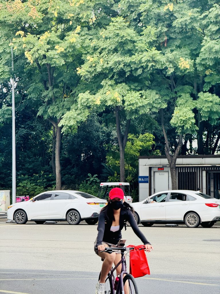 林间鹿 tweet media