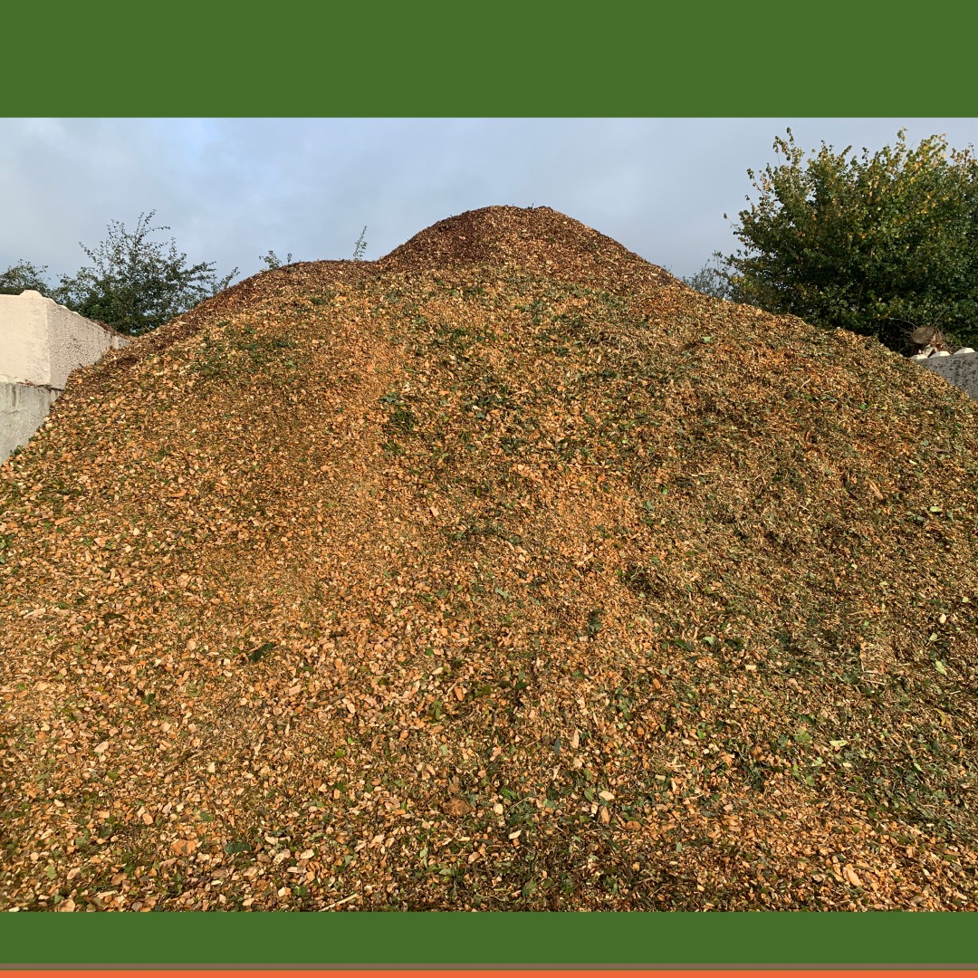 DFordTreeCare's tweet image. 🌳 An experienced arborist can evaluate your trees&apos; health and provide expert advice on the best course of action. Book your free inspection now: davefordtreecare.co.uk/free-quote

#SurreyArborists #TreeRemoval #TreeCareExperts