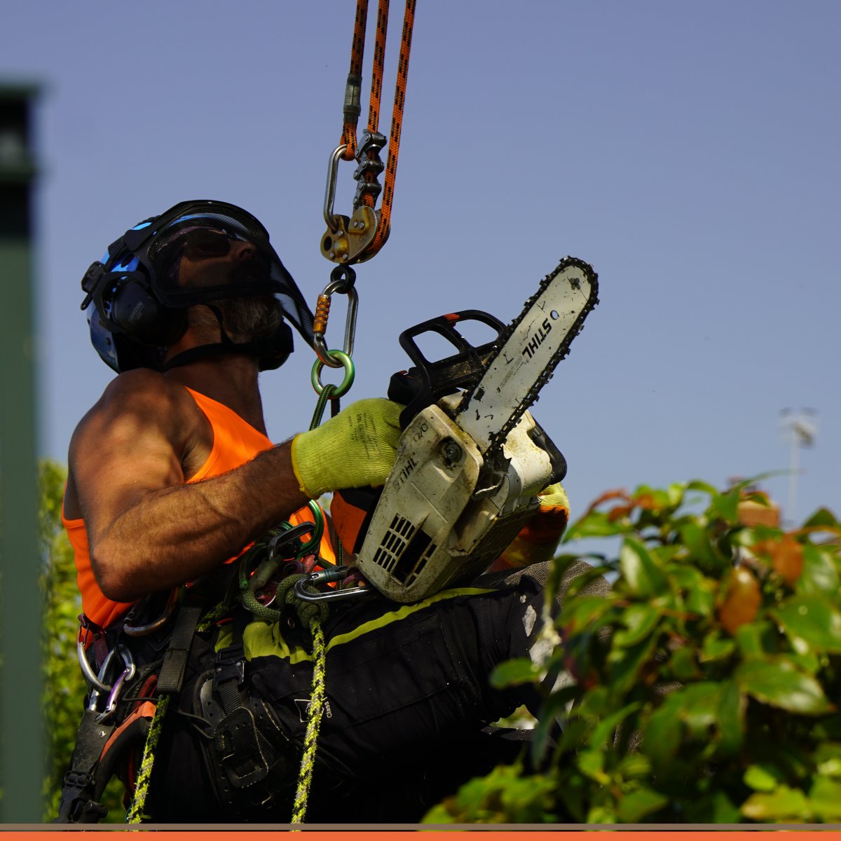 DFordTreeCare's tweet image. 🌳 An experienced arborist can evaluate your trees&apos; health and provide expert advice on the best course of action. Book your free inspection now: davefordtreecare.co.uk/free-quote

#SurreyArborists #TreeRemoval #TreeCareExperts