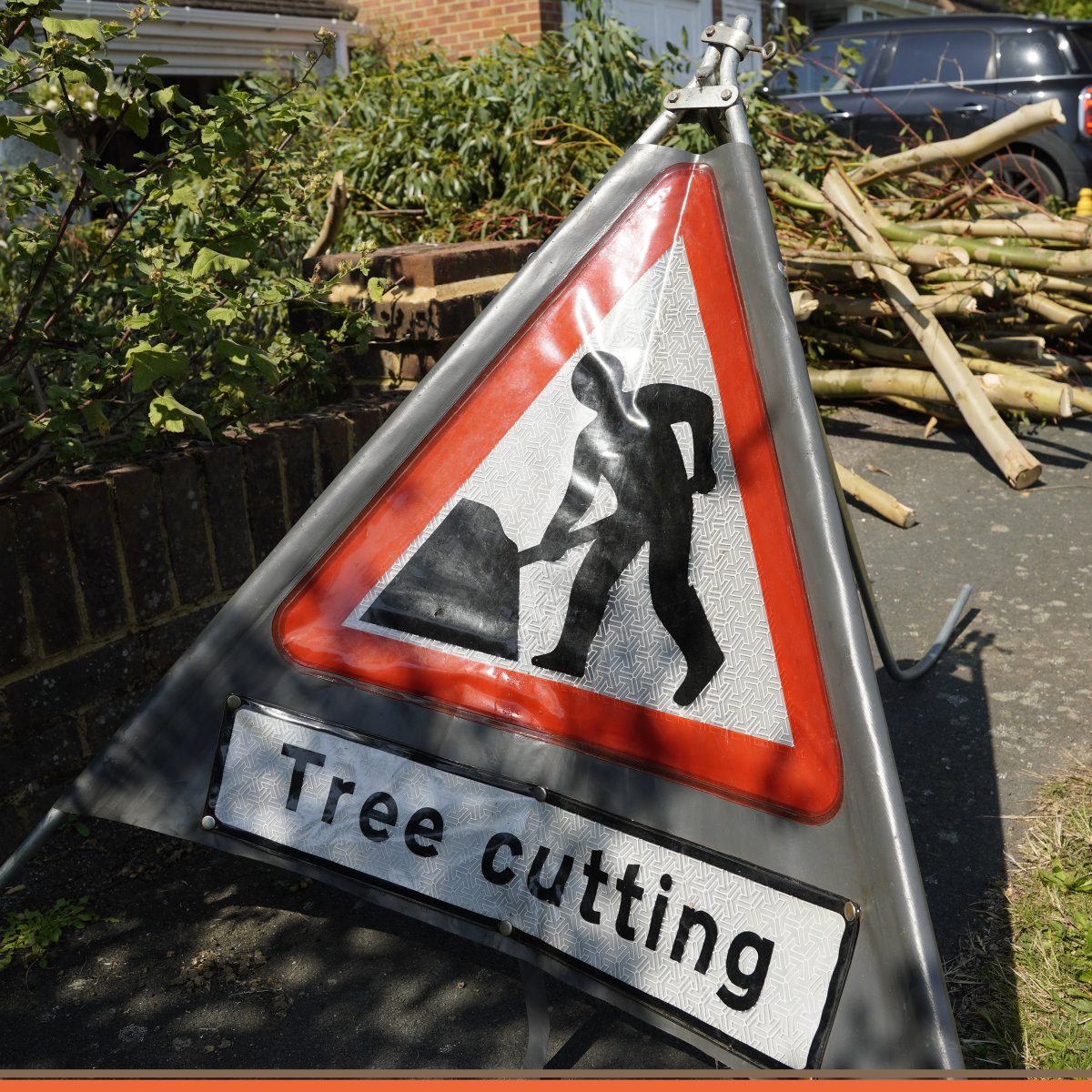 DFordTreeCare's tweet image. 🌳 An experienced arborist can evaluate your trees&apos; health and provide expert advice on the best course of action. Book your free inspection now: davefordtreecare.co.uk/free-quote

#SurreyArborists #TreeRemoval #TreeCareExperts