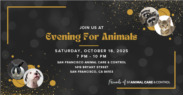 SF Animal Care & Control tweet media