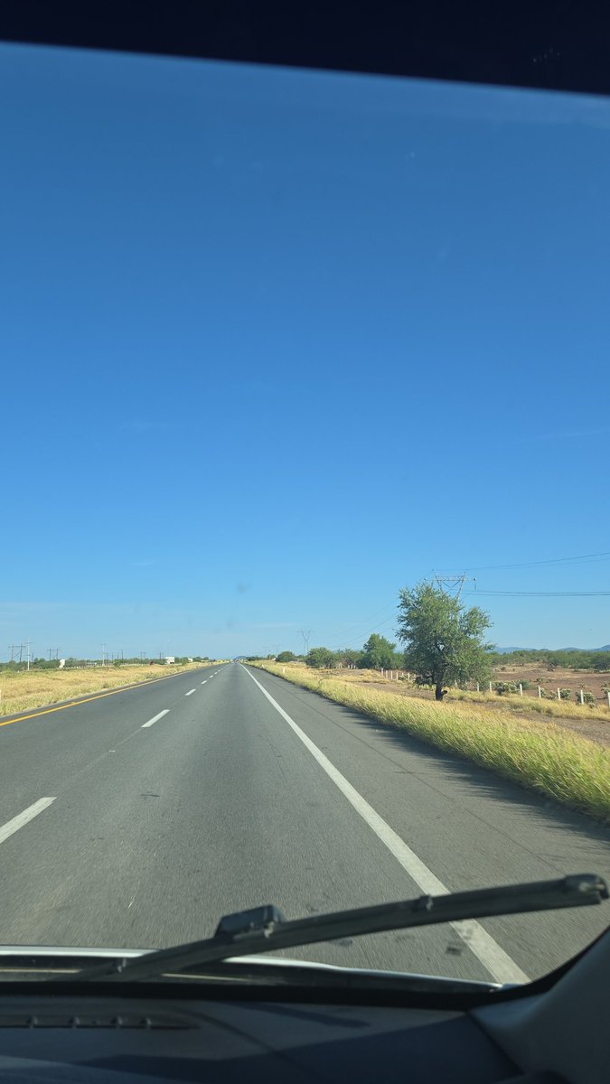 Ana Elisa Medrano tweet media