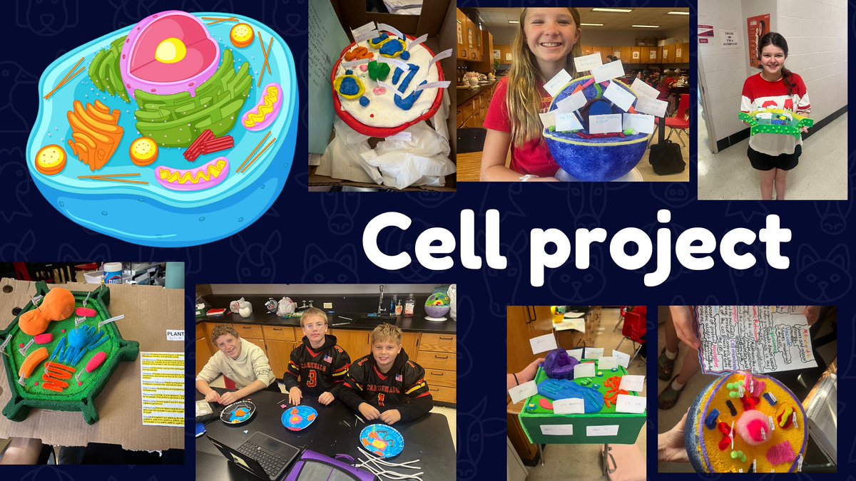 WarrensburgLatham MS tweet media