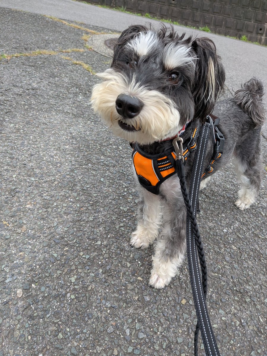 きゅるん👀✨️