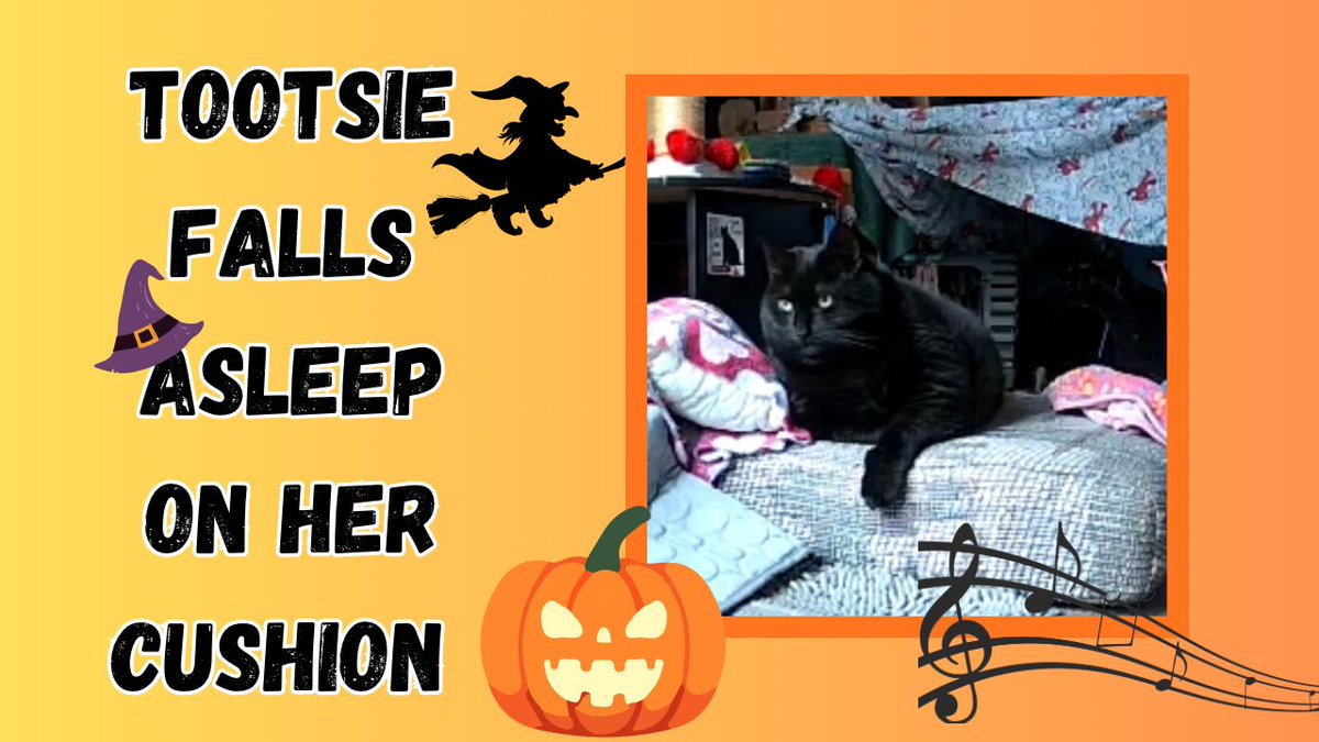 Tootsie (Falls Asleep) on her Cushion youtu.be/SsKpaXCRDBM?si… via <a href="/YouTube/">YouTube</a>
