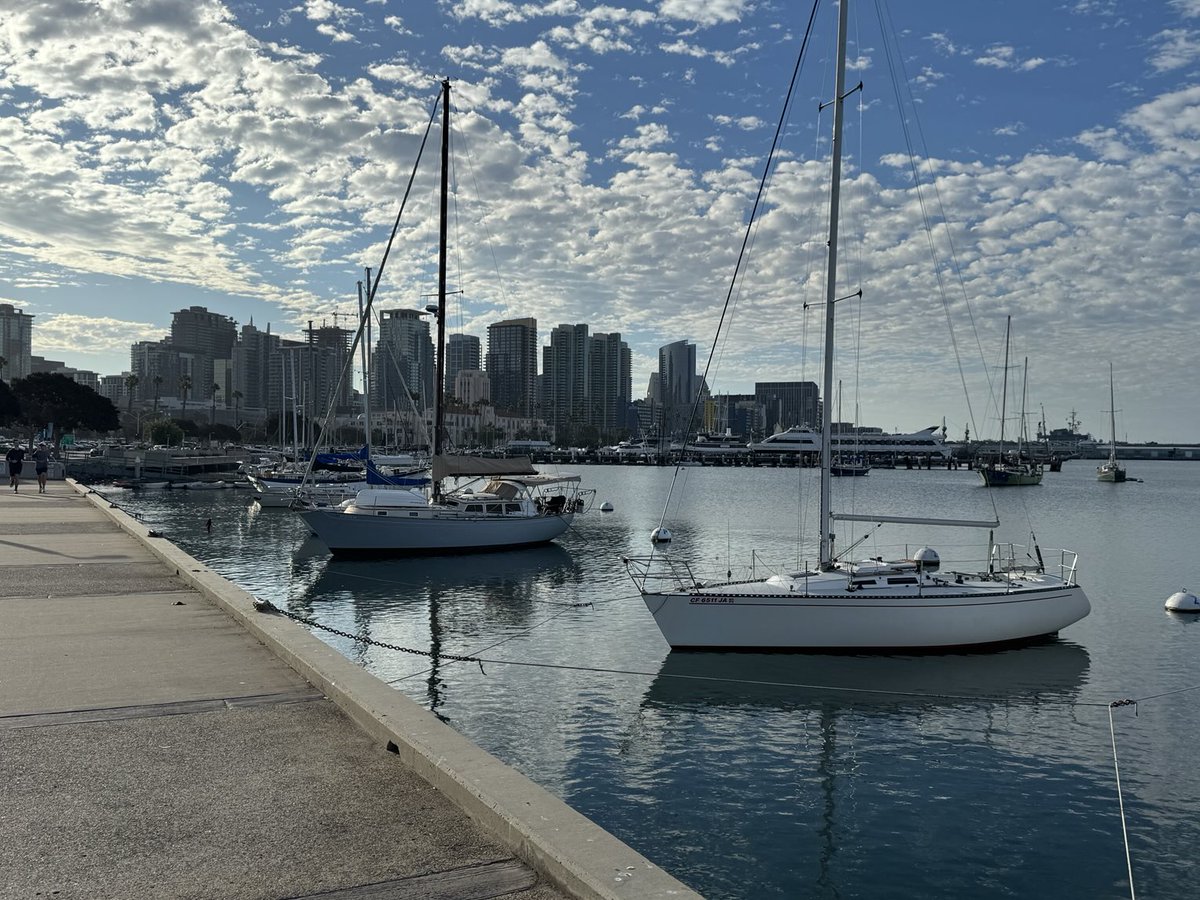 Rebecca Kortum tweet media