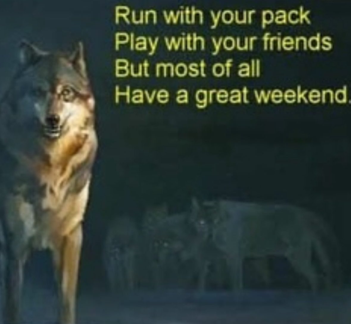 northstardoll's tweet image. 