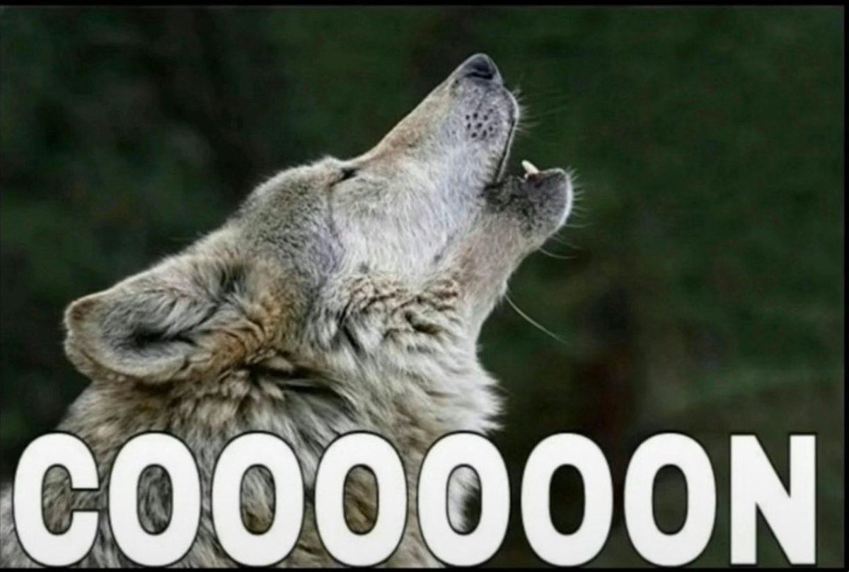 <a href="/robertdunlap947/">Bobby D🎙</a> You to far gone to fix....