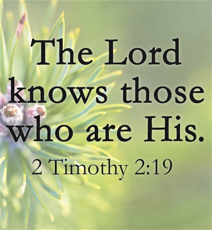 EvelynWestfield's tweet image. The Lord Knows 🖐🙏🏽👏☝️