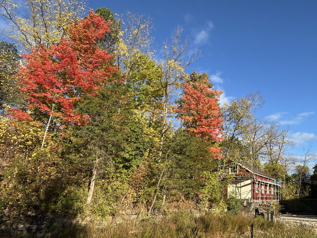 Morningstar Mill tweet media