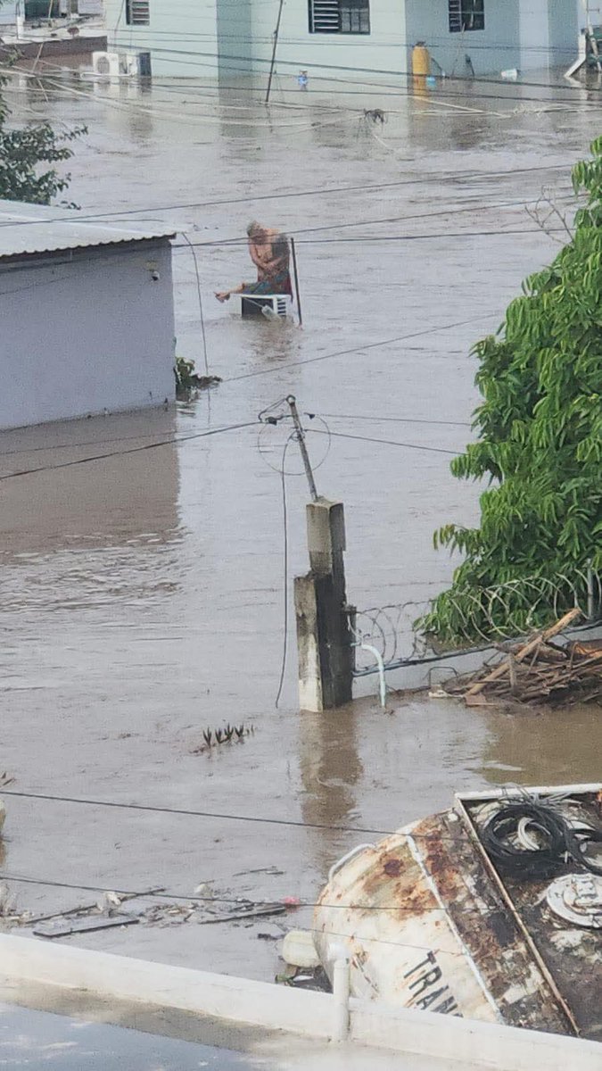 ClausGarcíaRichart tweet media