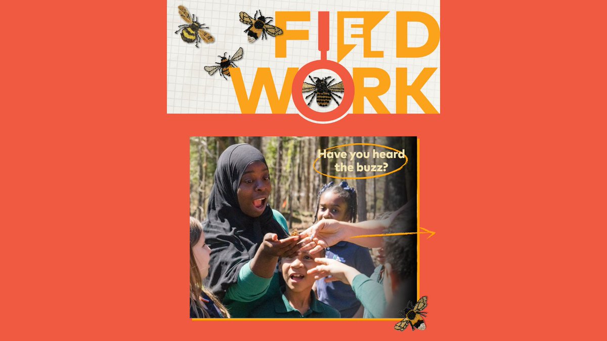 It’s almost time! 🌿 The new edition FiELdwork goes out next Weds, Oct 15. This month: Beautiful Spaces — where student work, voice, and belonging fill the walls.

Subscribe now to get it directly in your inbox next week: bit.ly/4gC5BbS

#Fieldwork #WeAreCrew #Education