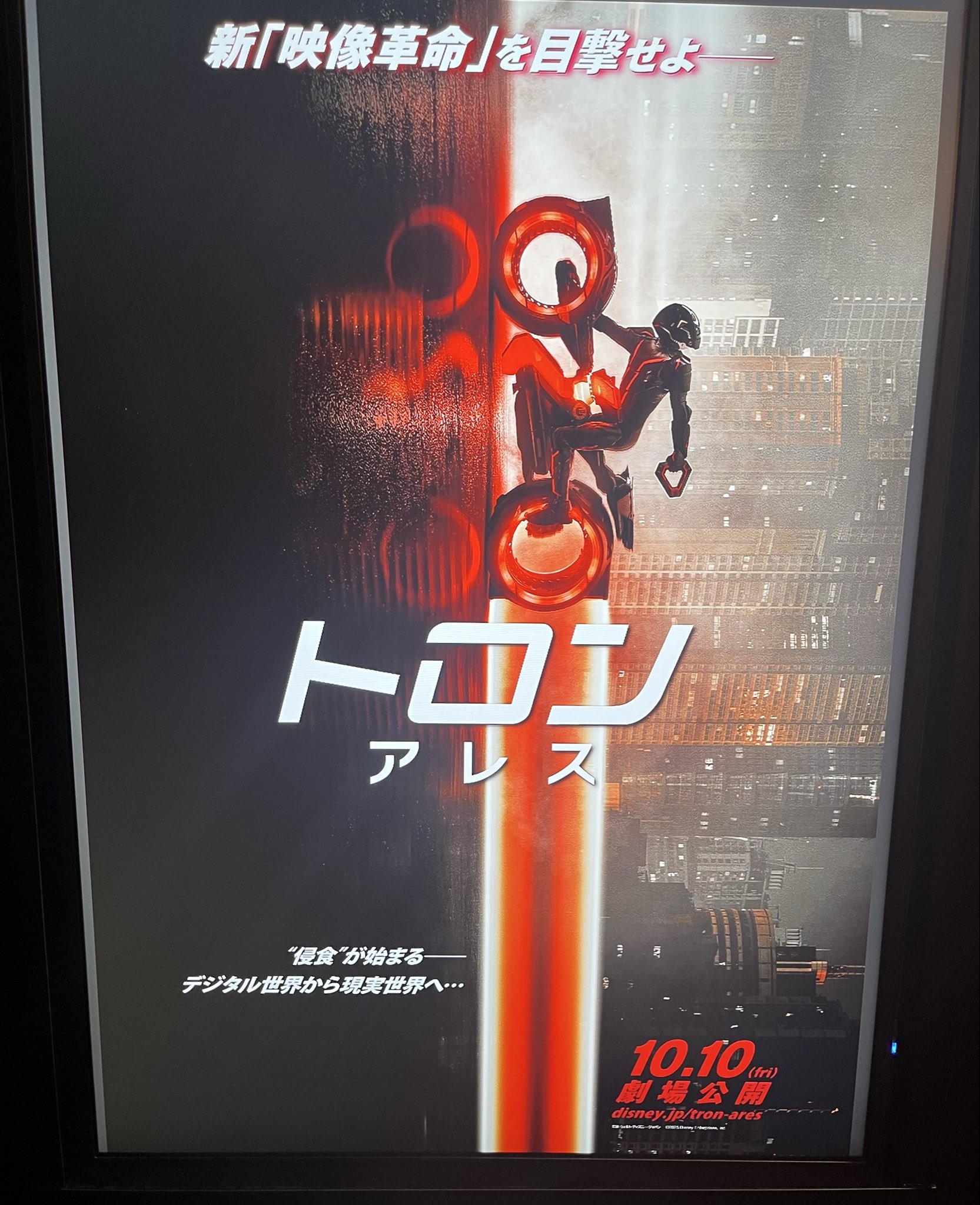 サントラCD 炎多留 ・魂 未開封新品 野郎臭たまんね 全部入っちゃった… サントラCD 炎多留 ・魂 未開封新品 野郎臭たまんね 全部入っ