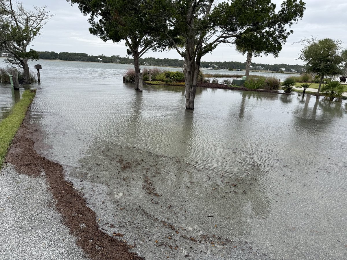 jerry_lieberman's tweet photo. Wind enhanced king tide has #pawleysisland roads underwater! https://t.co/7yVxevvjXQ