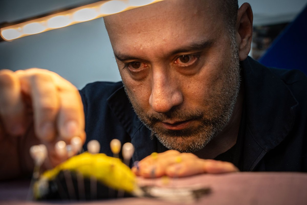 #Fotogalería | En una sala de gabinetes metálicos del Instituto de Ciencias Naturales de la UNAL más de 45.000 aves hablan de lo que fuimos, lo que somos y lo que podríamos perder en una de las colecciones más grandes de la institución. 

ow.ly/GM7150X9Uh0