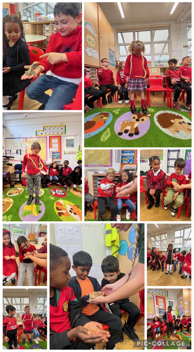 It’s been such a wonderful day in the classroom for Year 1 today… look at their faces when actually being able to pet the animals! They LOVED it! 🥰 what an amazing start to the weekend! 🐹 🕷️