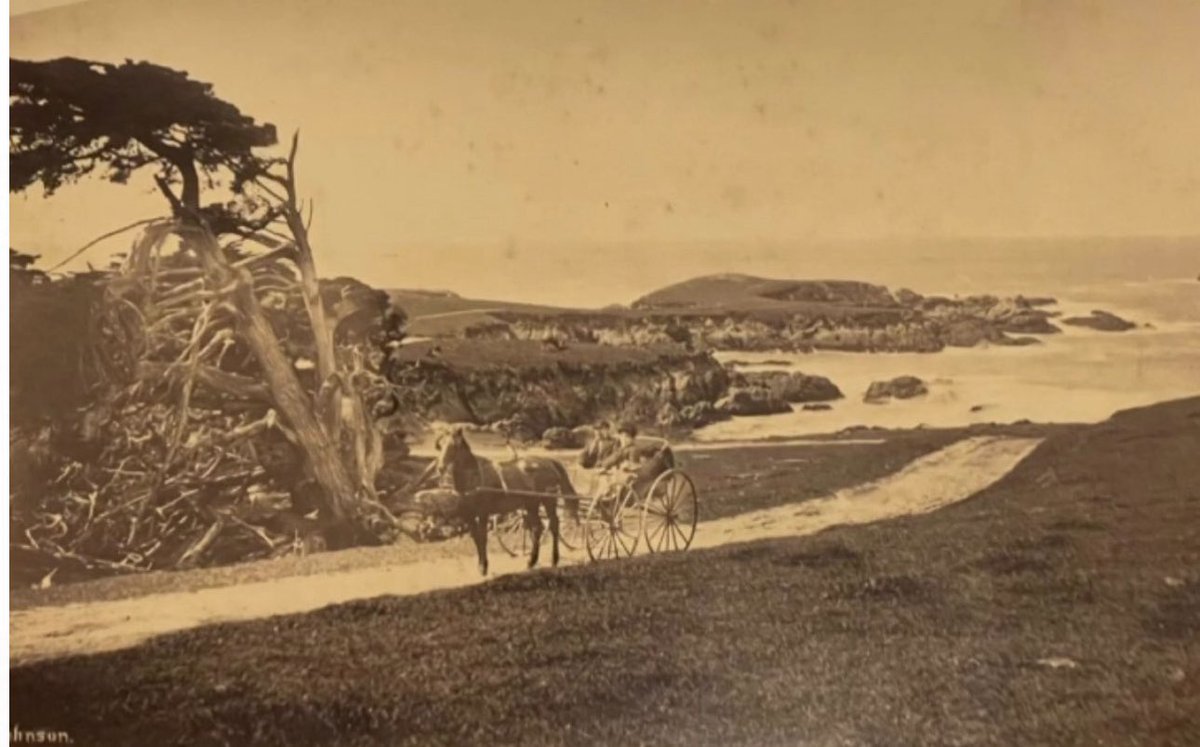 Antiquity Golf Company tweet media