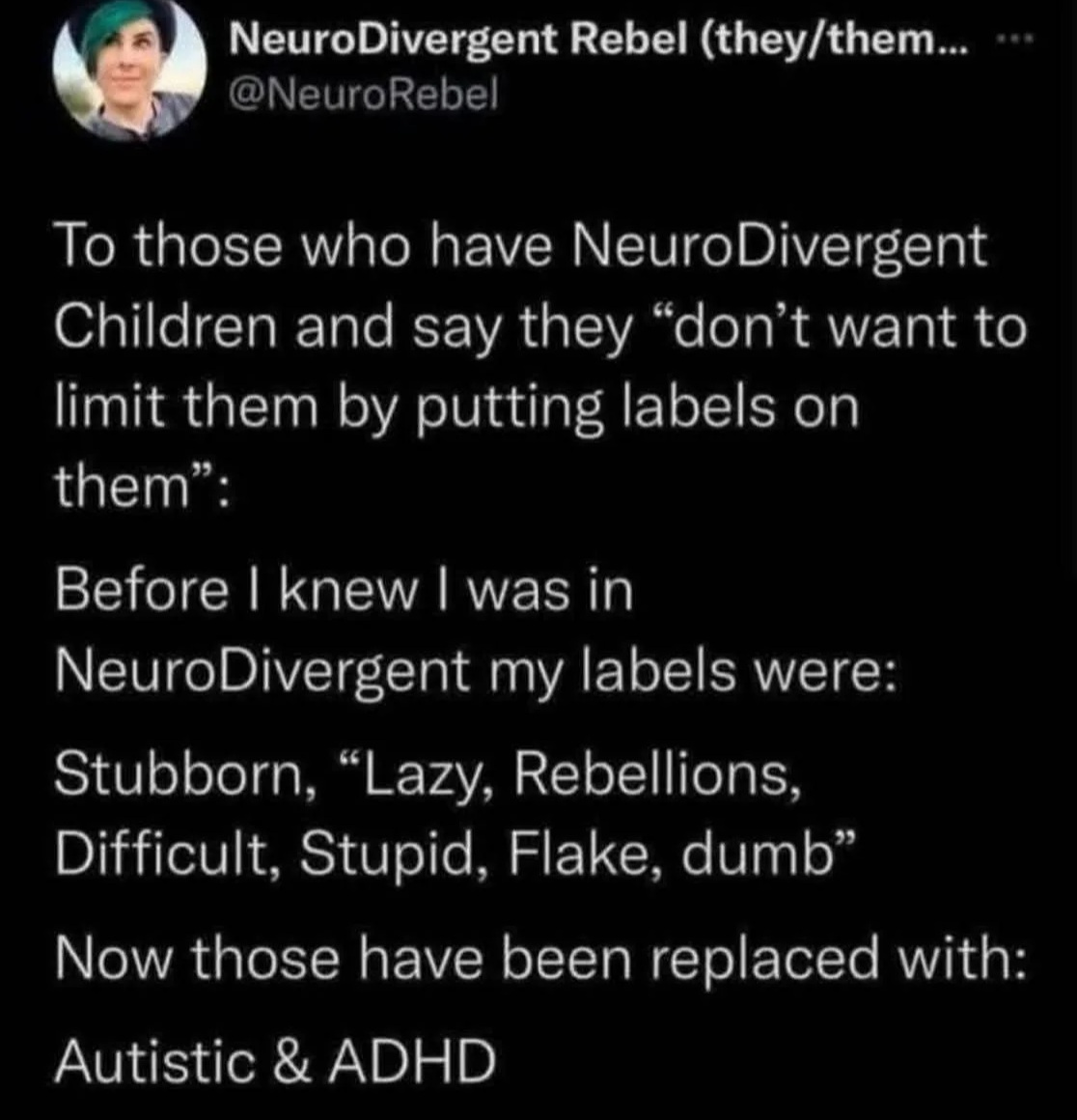 No Nonsense Neurodivergent (@nononsensend) on Twitter photo 