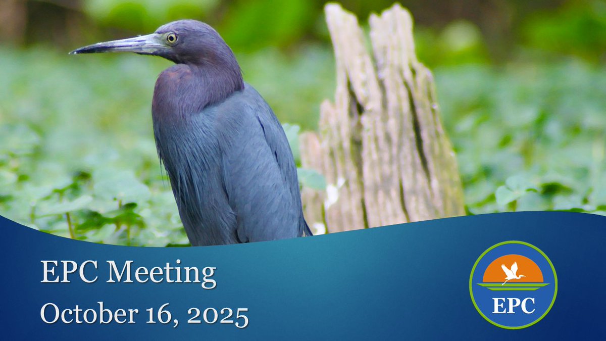 EPC of Hillsborough tweet media