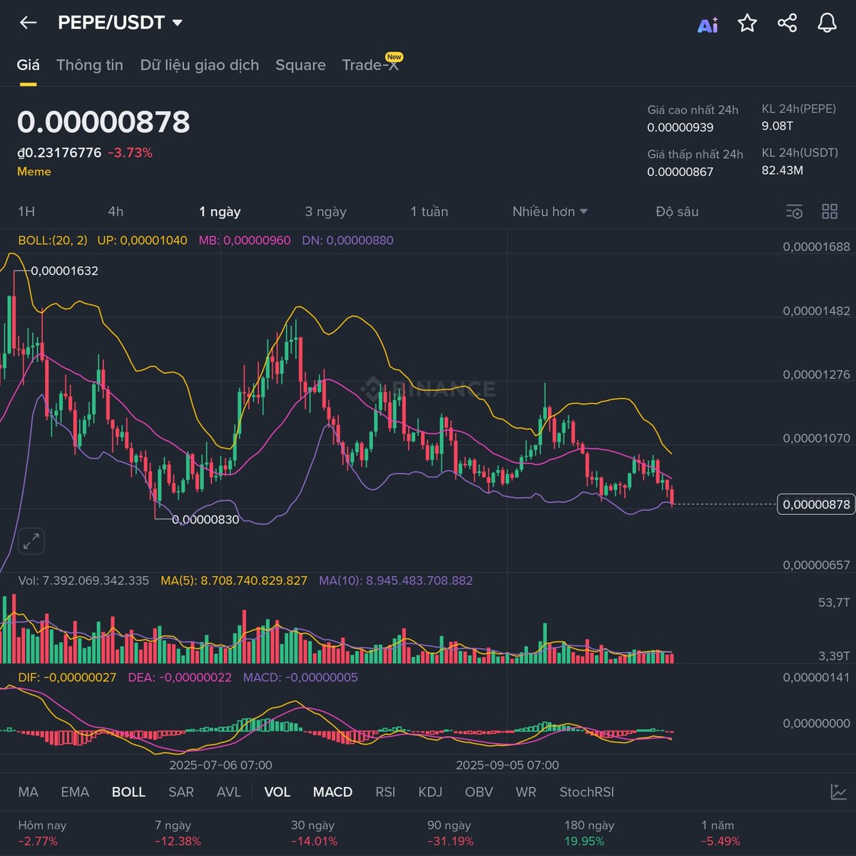 SummerMute tweet media