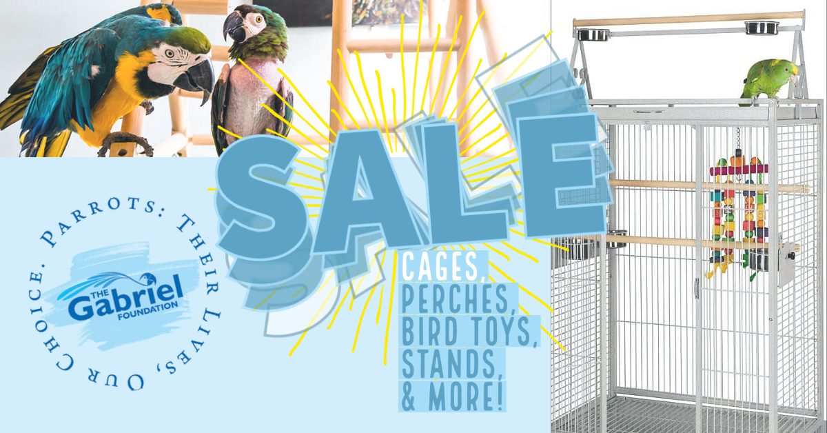 Cage Sale Tomorrow- Saturday October 11th! - mailchi.mp/thegabrielfoun…