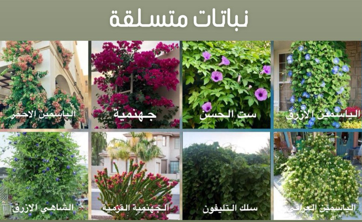 عبدالكريم الناجم tweet media