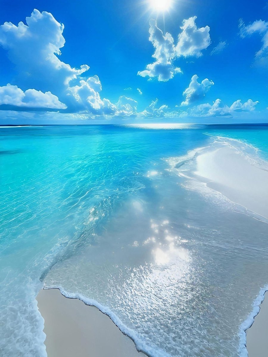 SeascapeNature's tweet photo. https://t.co/mY4g24C6WZ