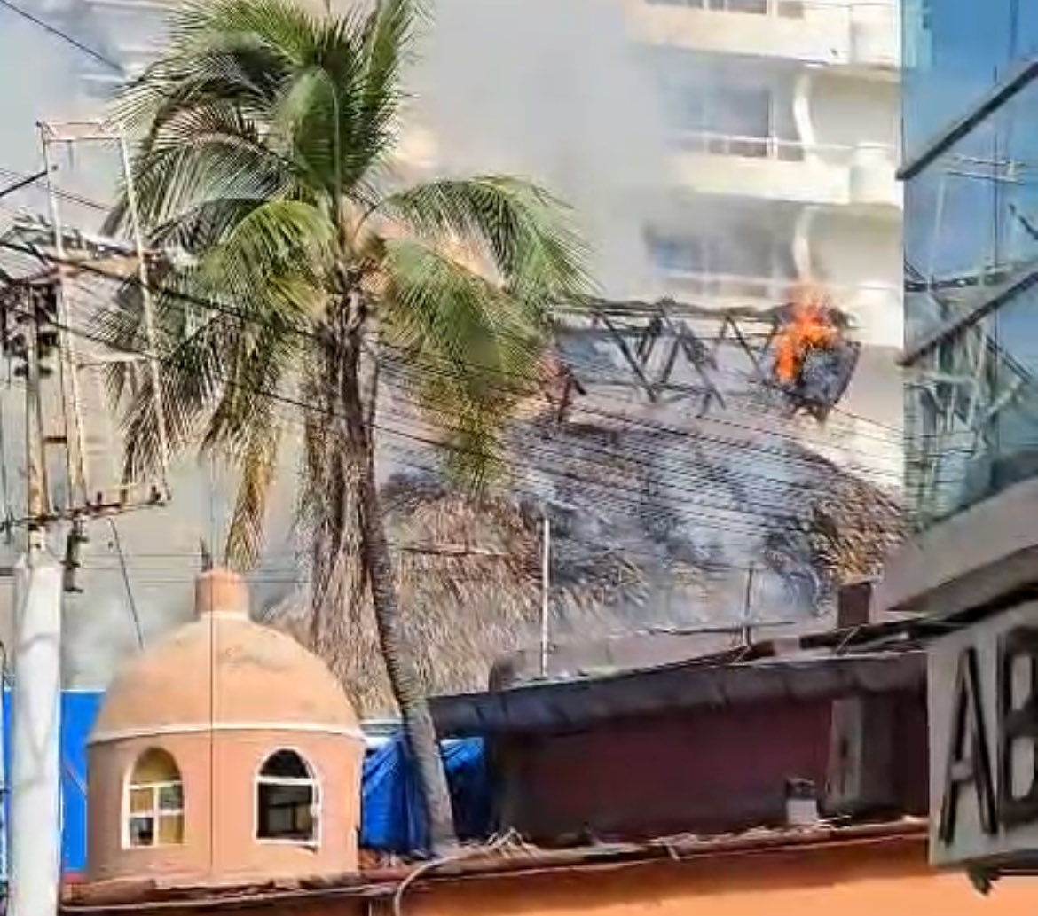 DiarioTropico tweet media