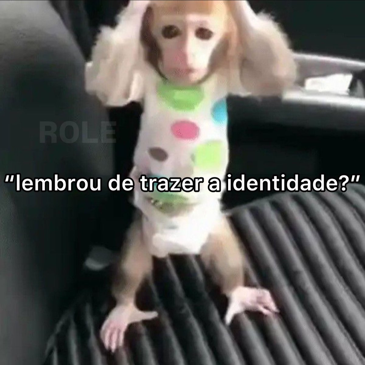 rolealeatorio's tweet image. 