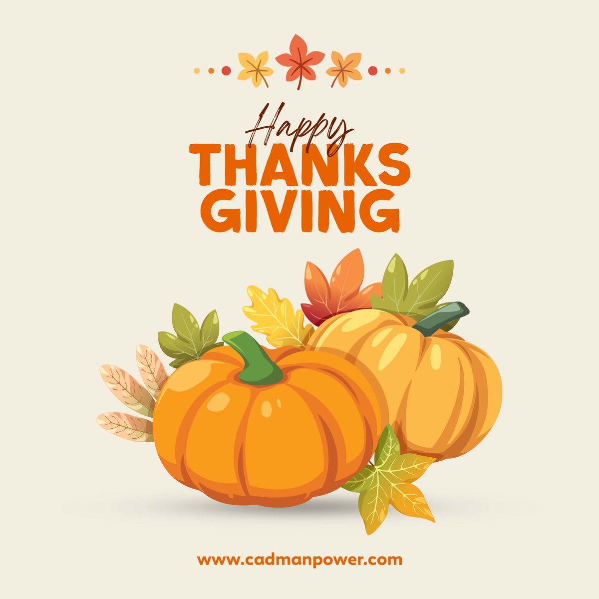 CadmanPowerEquipment tweet media