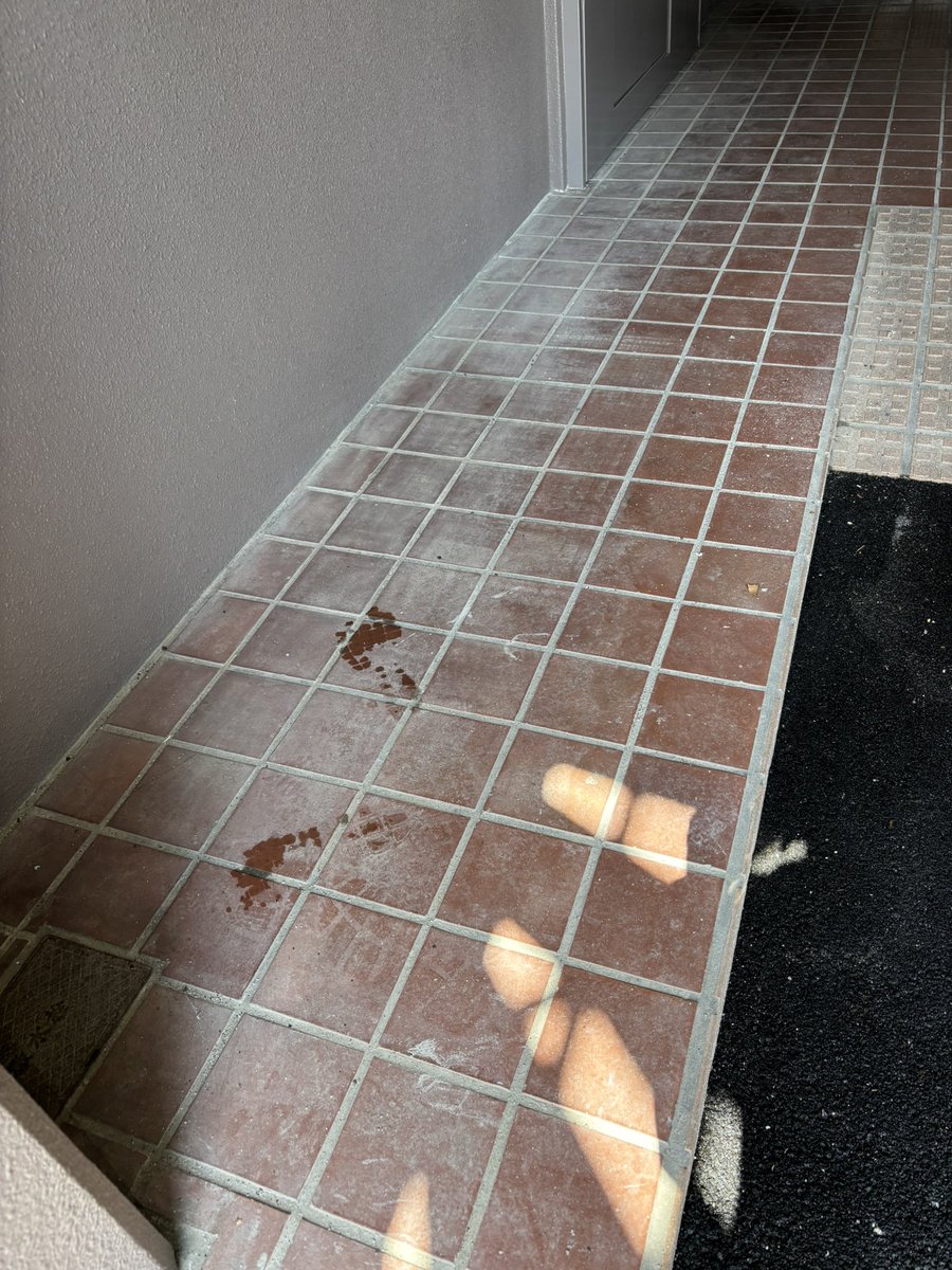 recy_clean3196's tweet photo. 床タイルの薬品洗浄〜♪

濡れてる方が綺麗に見える？
乾いたら残ってるかもよ？

そう魅せるのも技術(^^)シランケド https://t.co/hLs1g0oVXA